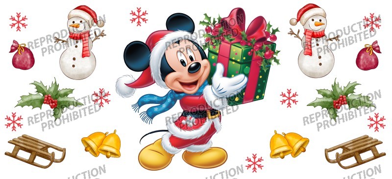 T51-2648