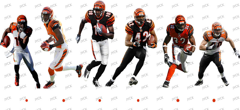 NFL-A291