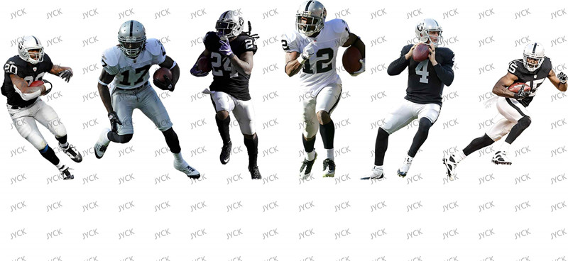 NFL-A312