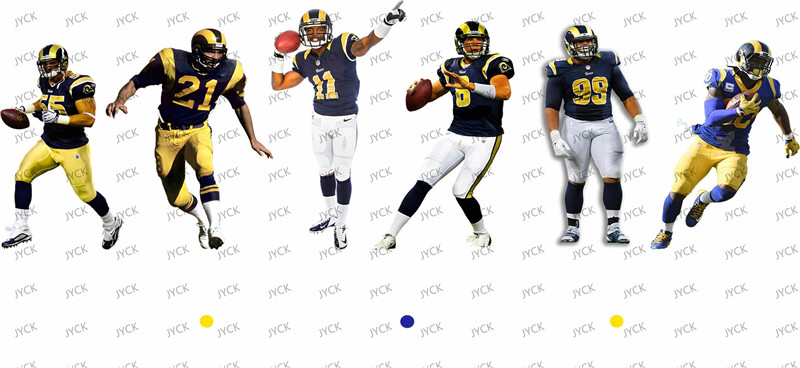 NFL-A313