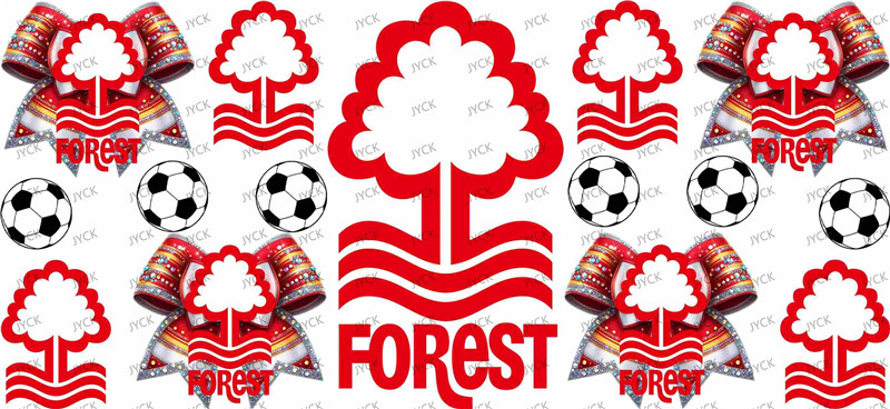 NFL-A497