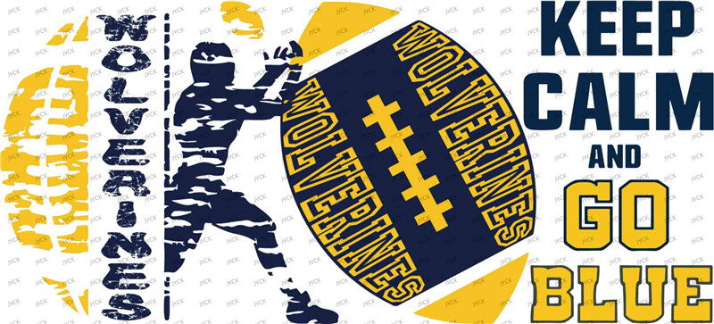 NFL-A508