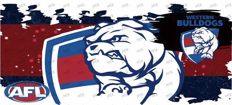 NFL-A621