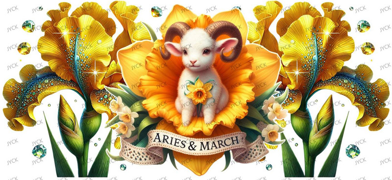 Zodiac Signs-Y41415