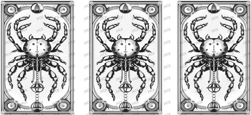 Zodiac Signs-Y48742
