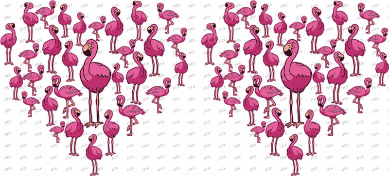Girly designs-Y0671