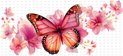 Butterfiy-Y10002