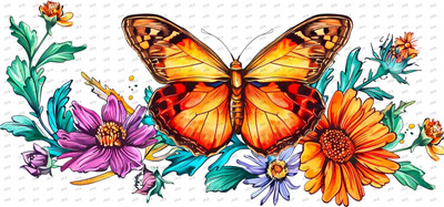 Butterfiy-Y10020