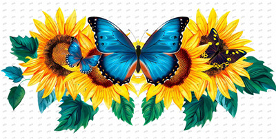 Butterfiy-Y10031