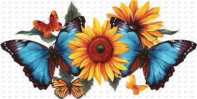 Butterfiy-Y10033