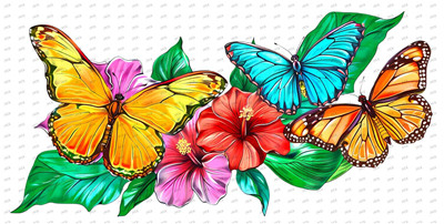 Butterfiy-Y10043