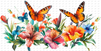 Butterfiy-Y10044