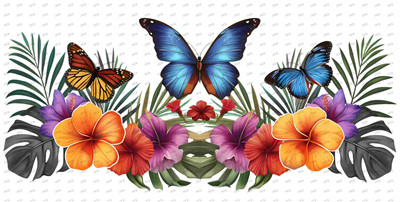 Butterfiy-Y10078