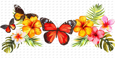 Butterfiy-Y10080
