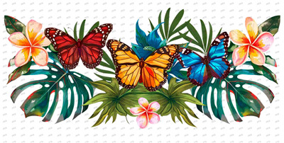 Butterfiy-Y10082