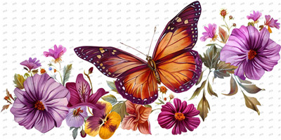 Butterfiy-Y10096