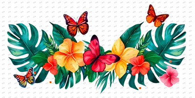 Butterfiy-Y10104
