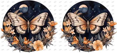 Butterfiy-Y11331