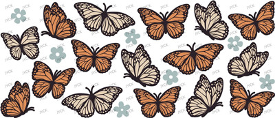 Butterfiy-Y12597
