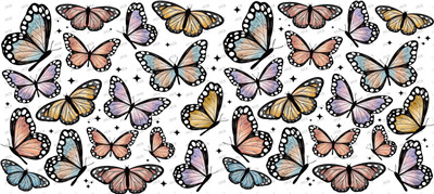 Butterfiy-Y15878