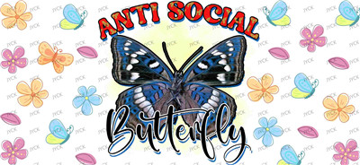 Butterfiy-Y24553