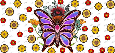 Butterfiy-Y24562