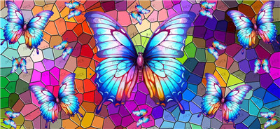 Butterfiy-Y25749