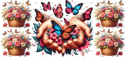 Butterfiy-Y25951
