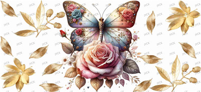 Butterfiy-Y26955