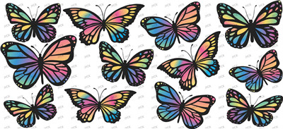 Butterfiy-Y2946