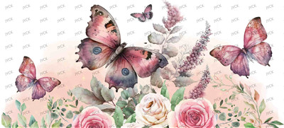 Butterfiy-Y3365