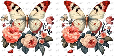 Butterfiy-Y3924