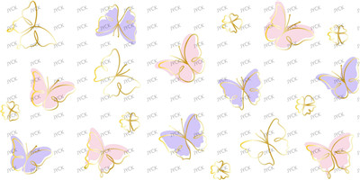 Butterfiy-Y4813