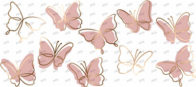 Butterfiy-Y5504