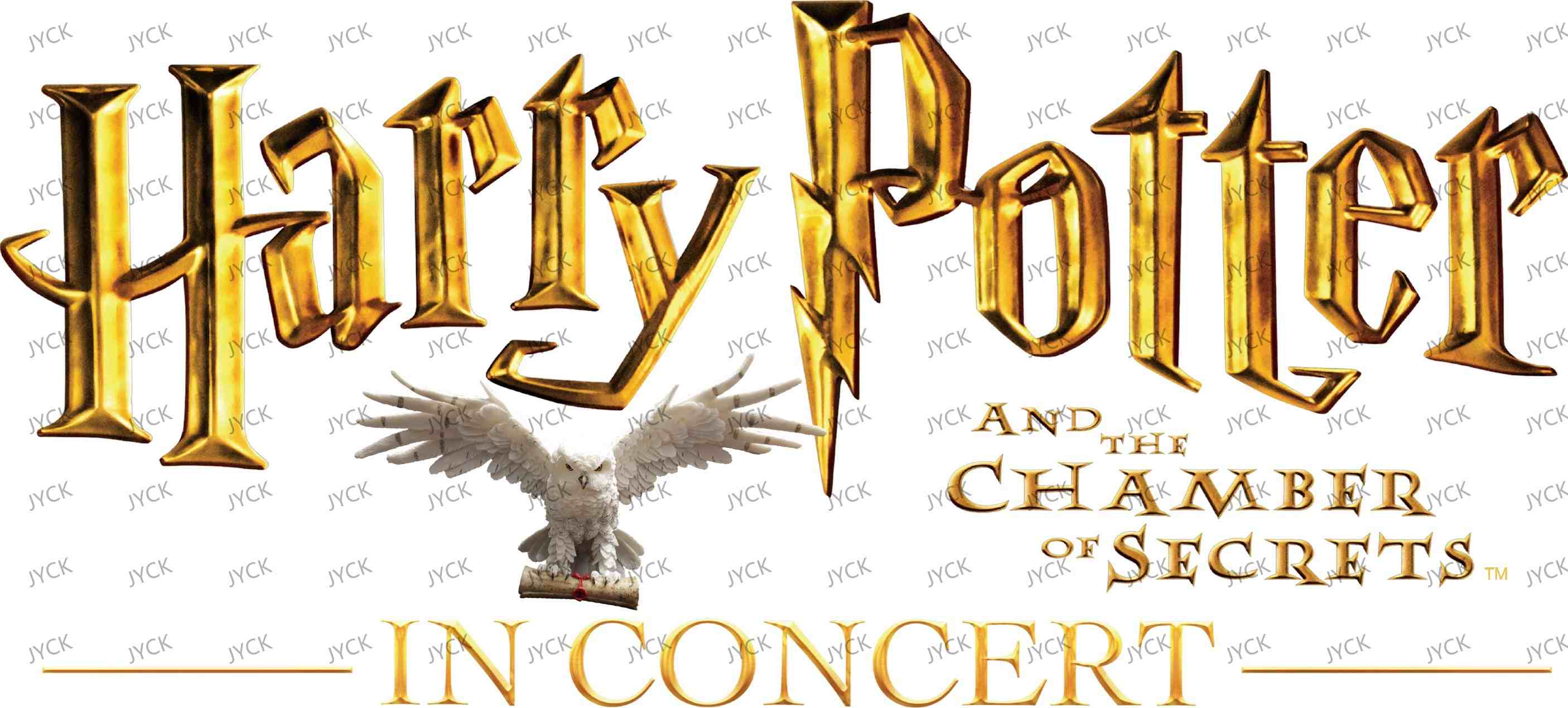 Haary Potter-Y0935
