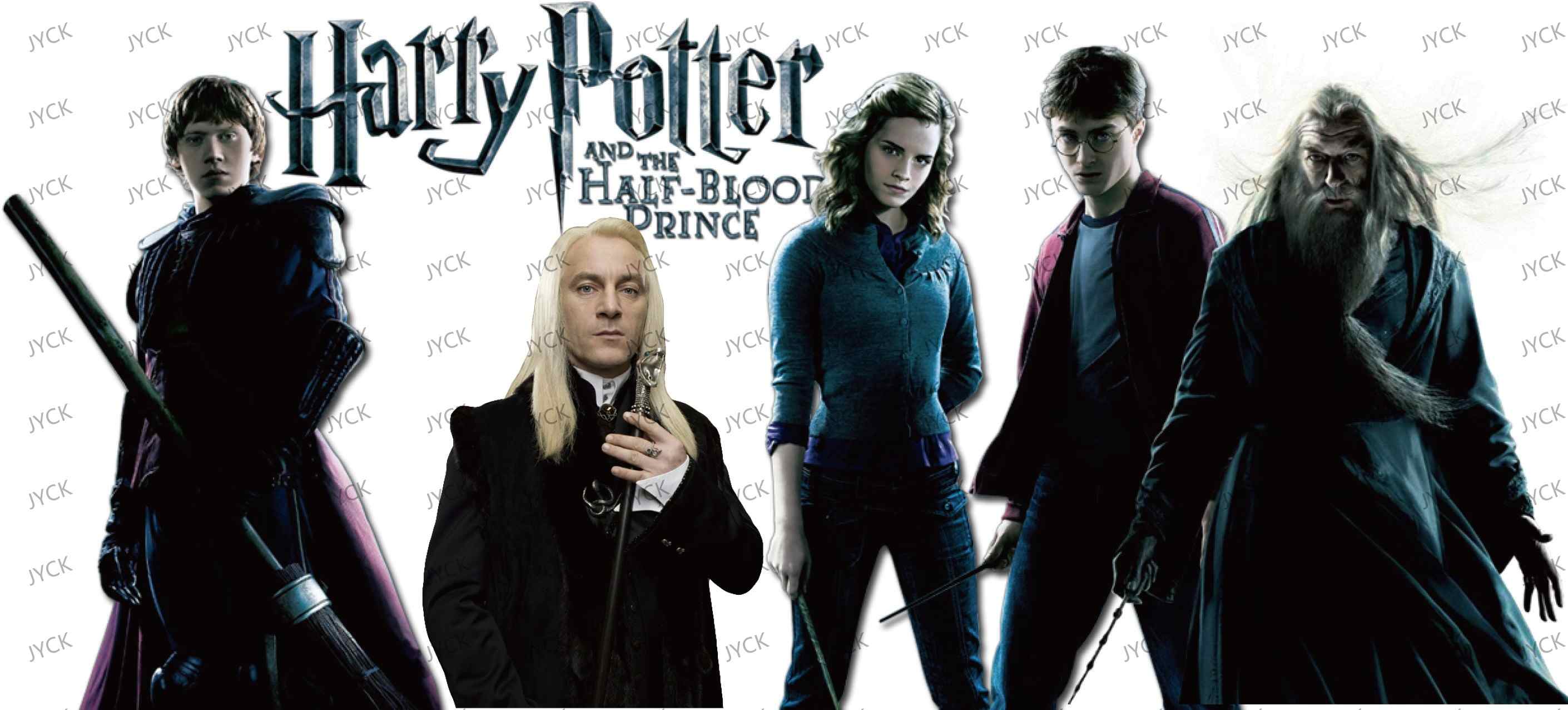 Haary Potter-Y0936