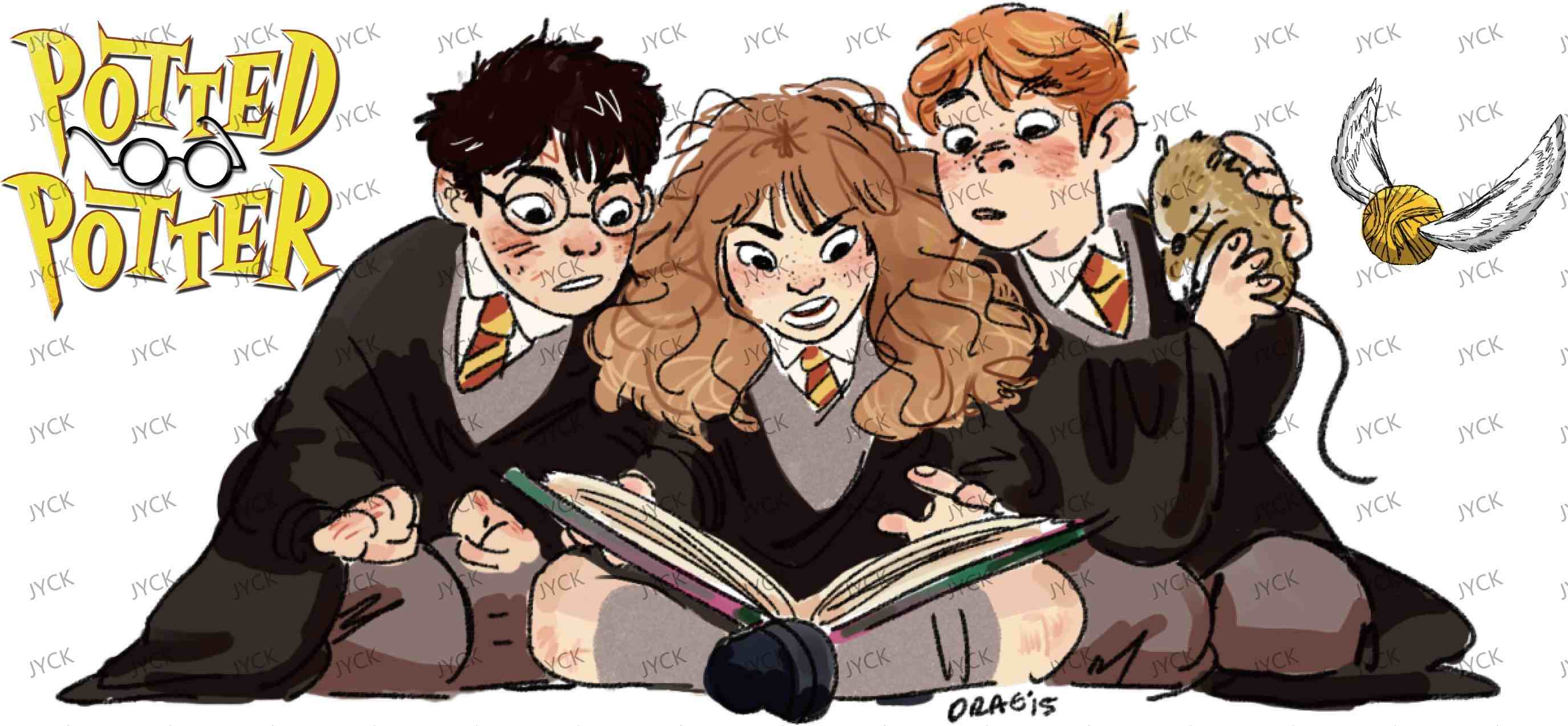 Haary Potter-Y0938