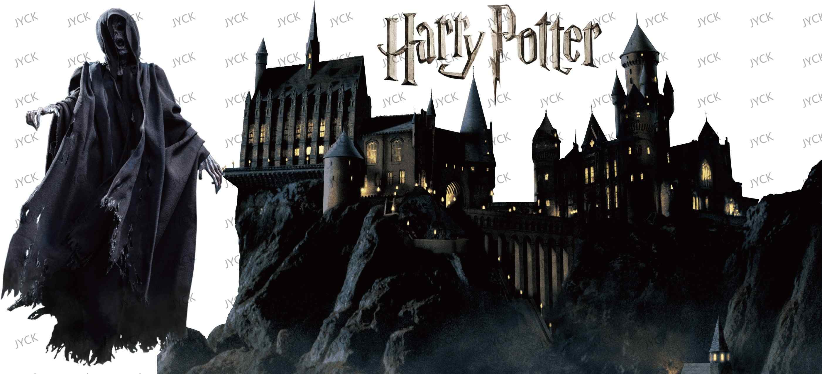 Haary Potter-Y0939