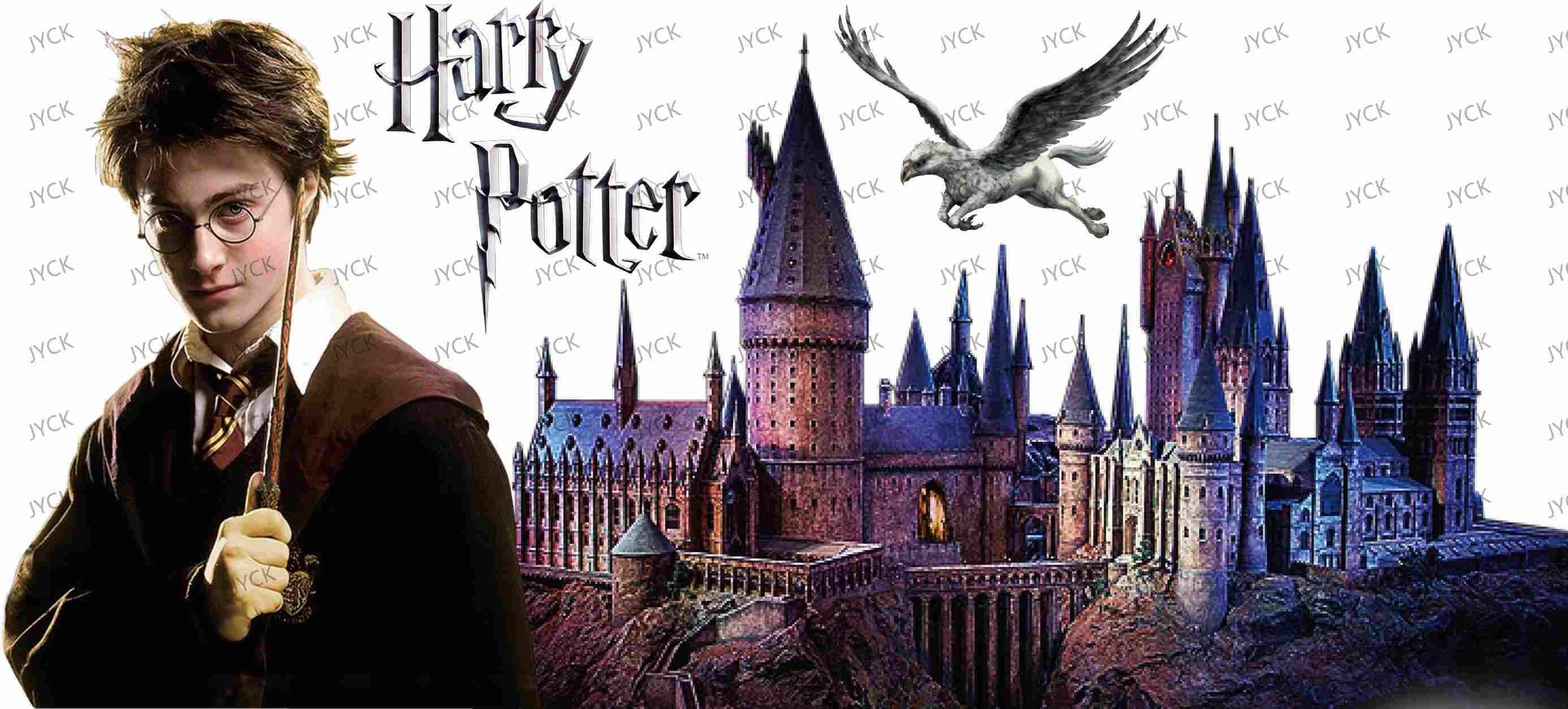 Haary Potter-Y0940