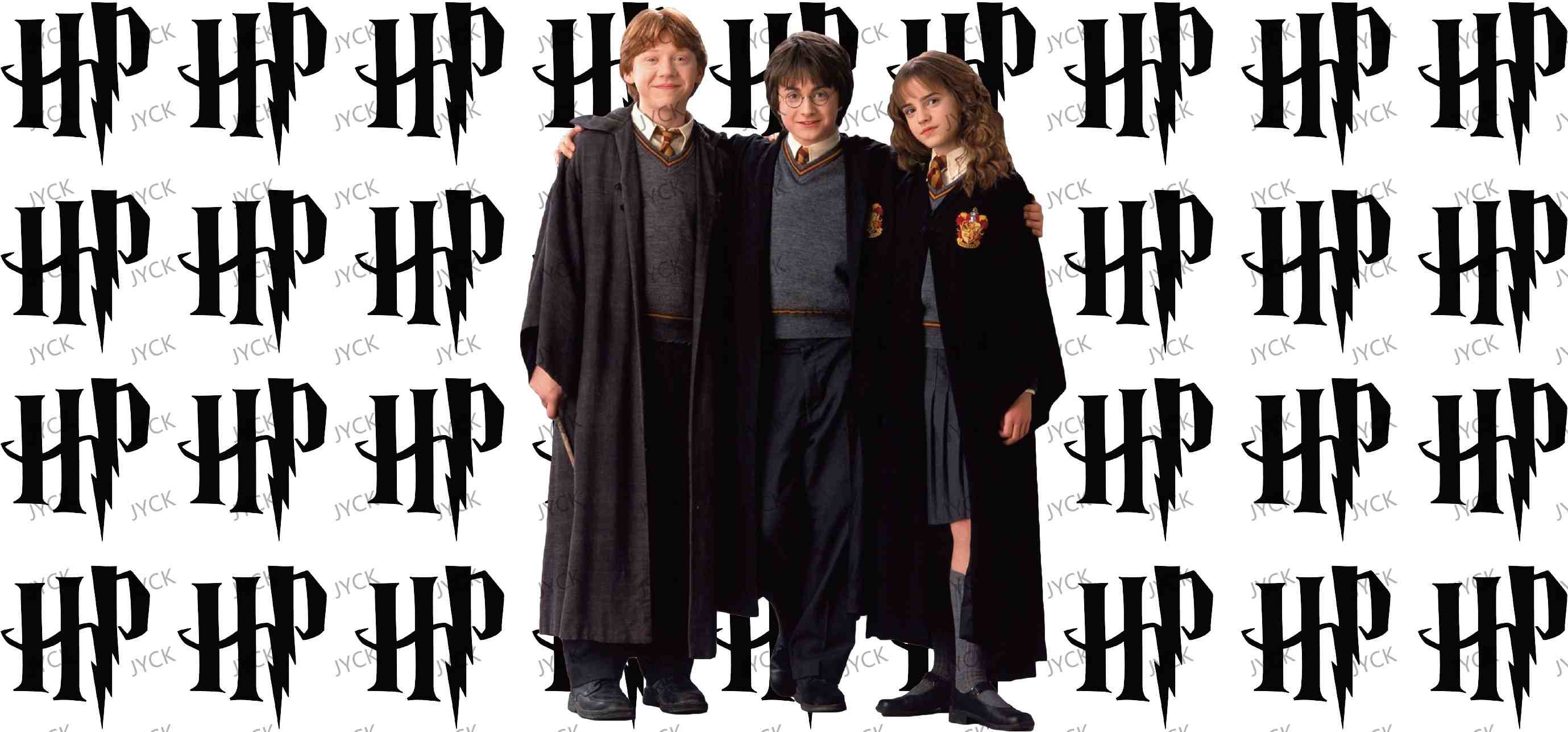 Haary Potter-Y0950