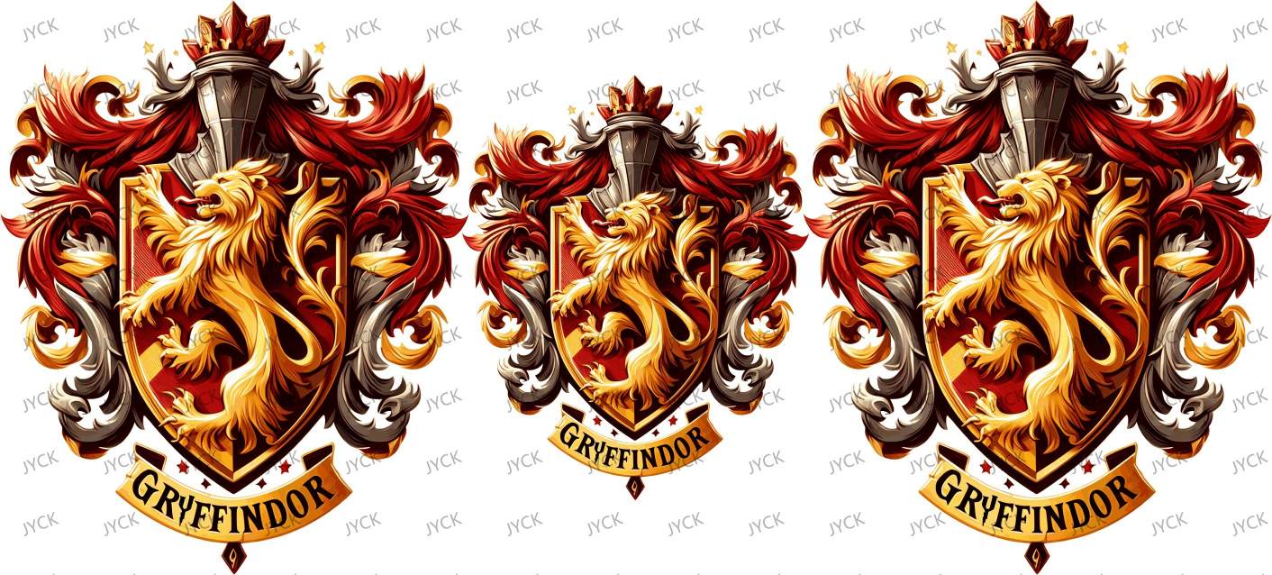Haary Potter-Y13756