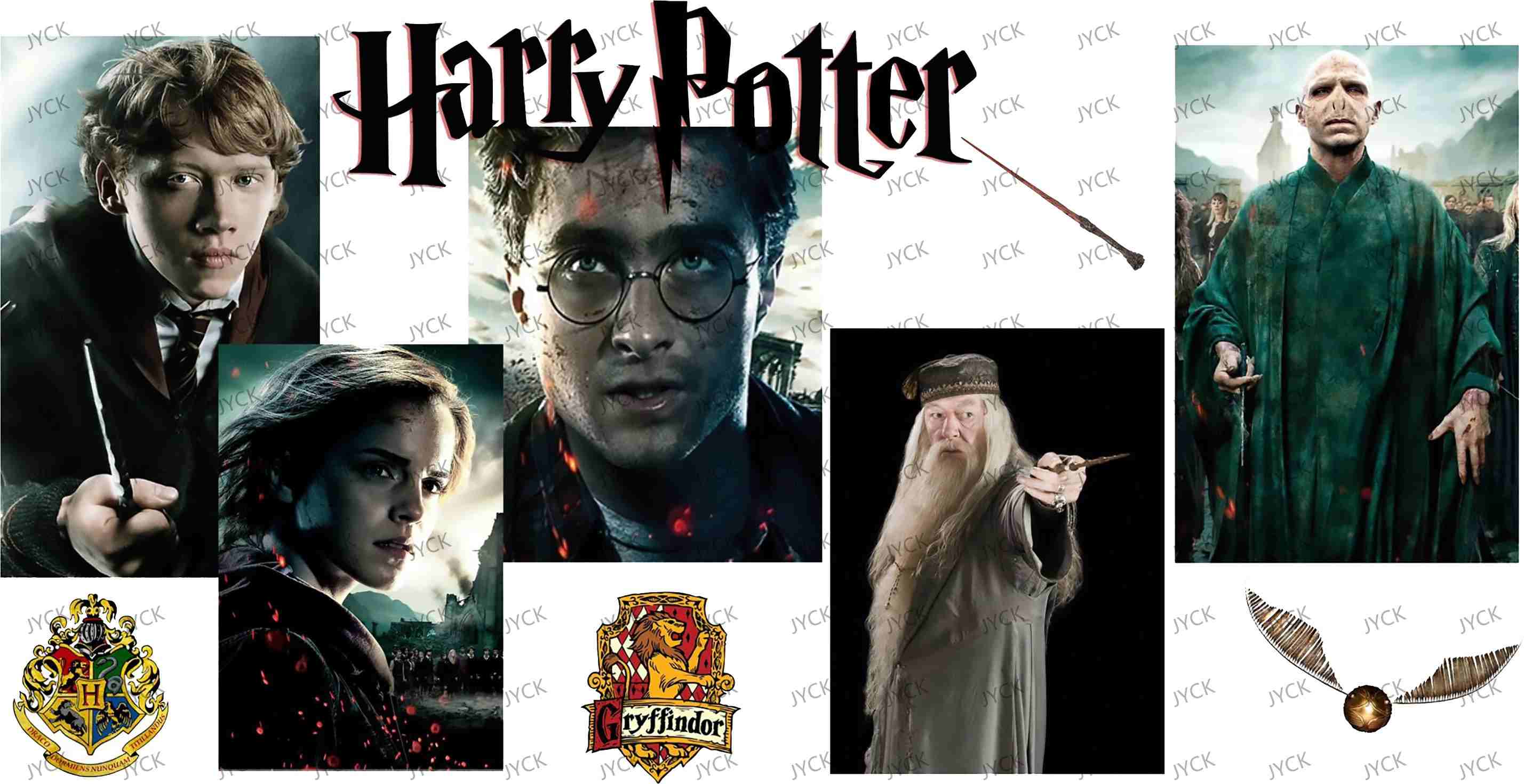Haary Potter-Y50457