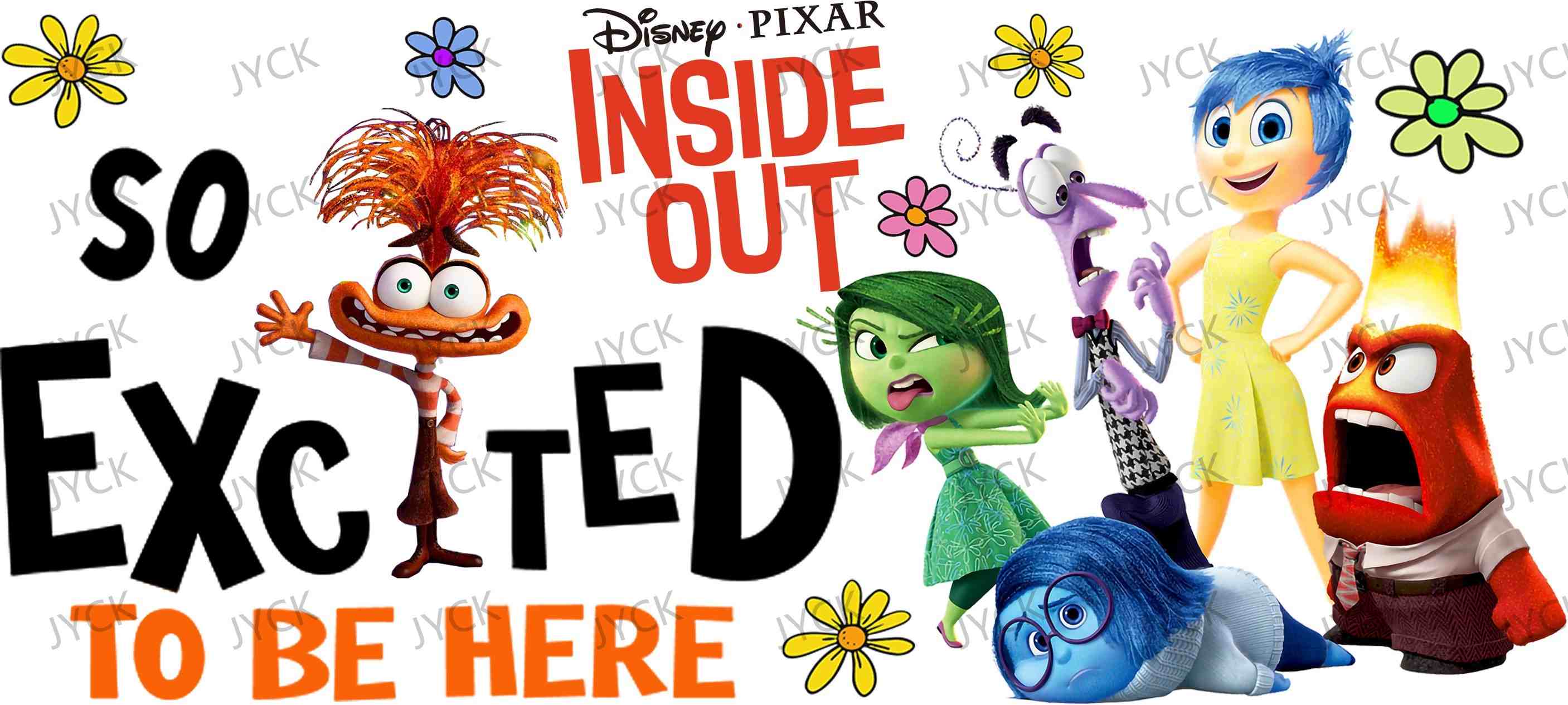 Inside Out-Y12525