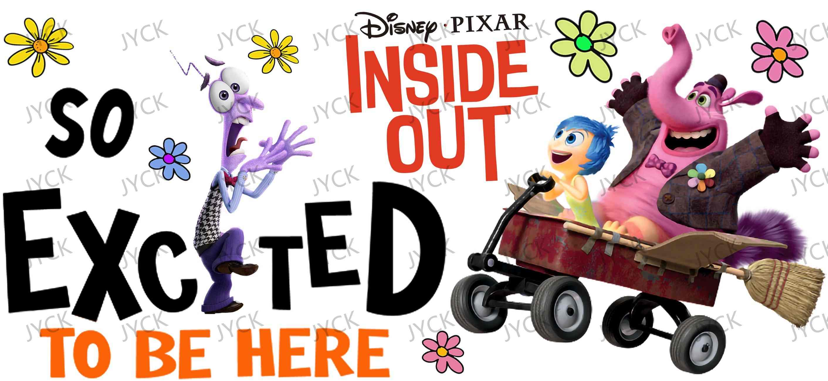 Inside Out-Y12527