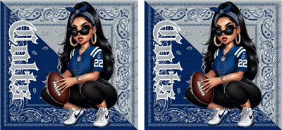 NFL-A1343