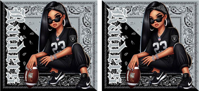 NFL-A1346