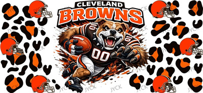 NFL-A2108