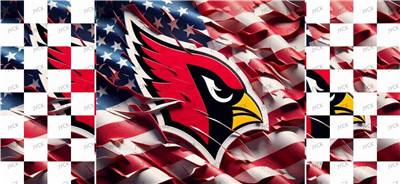 NFL-A2142