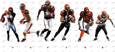 NFL-A291