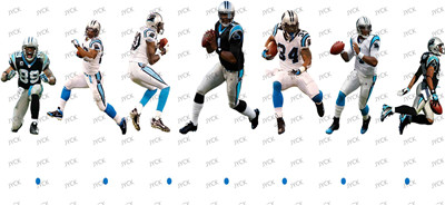 NFL-A310